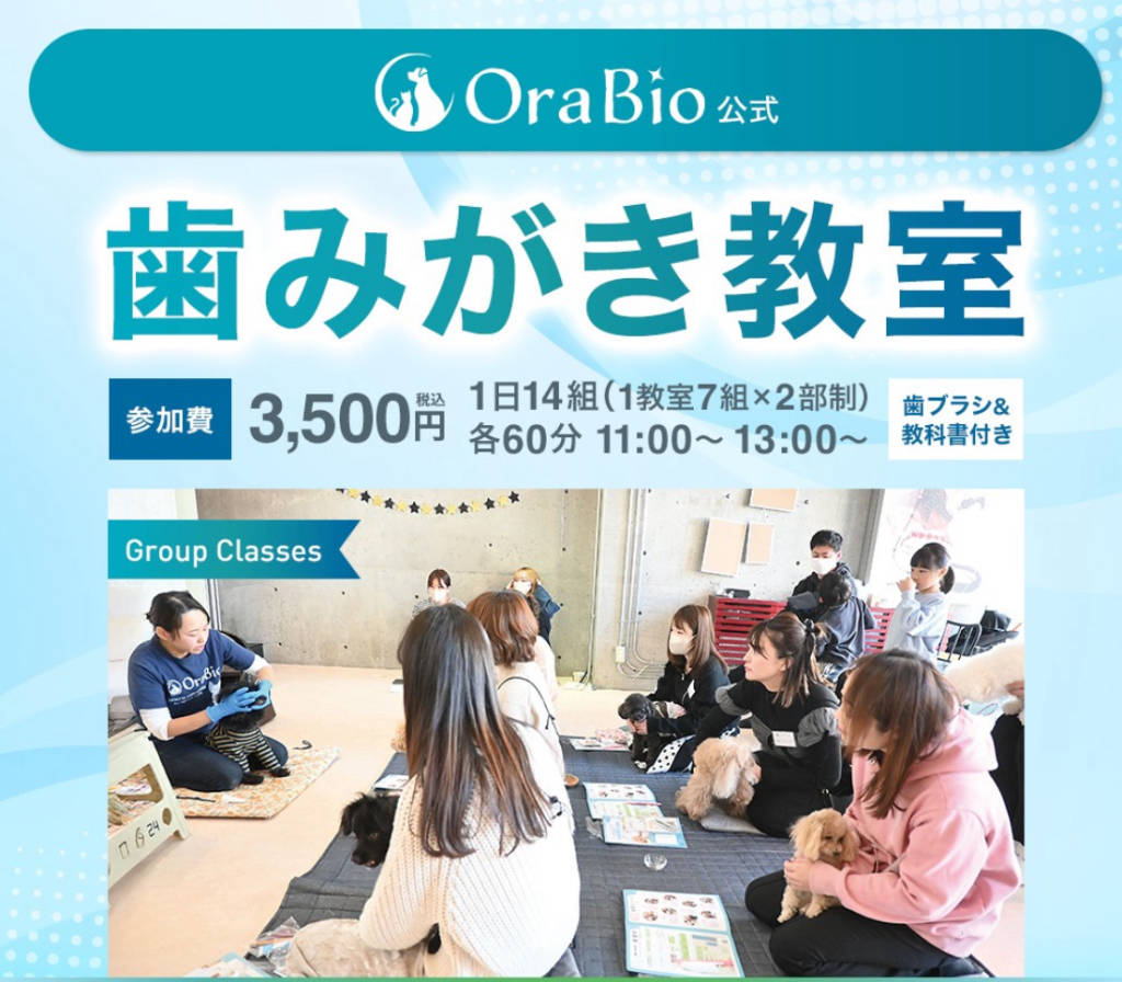 みなとみらいの動物クリニックでOraBioが開催する歯磨き教室の告知画像。
